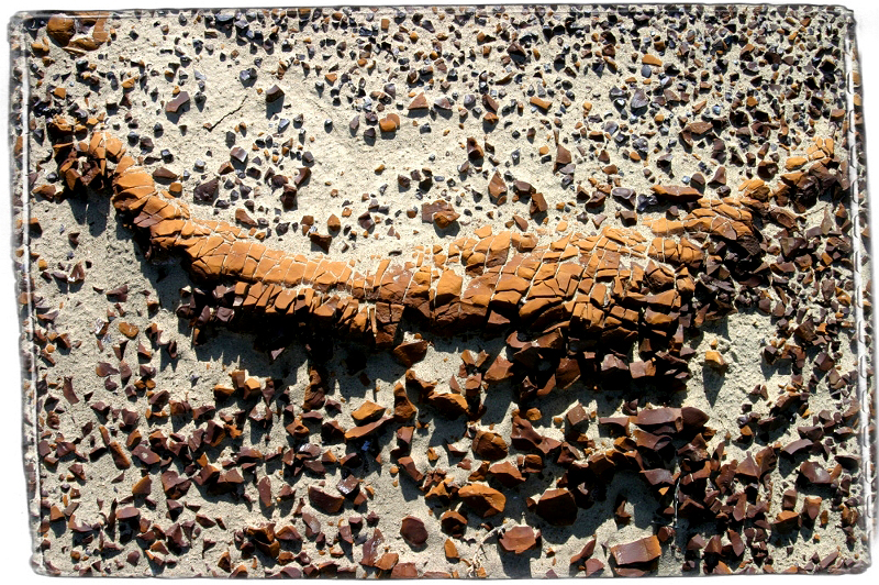 Bisti Colors Bisti Badlands, NM � Dave Hickey